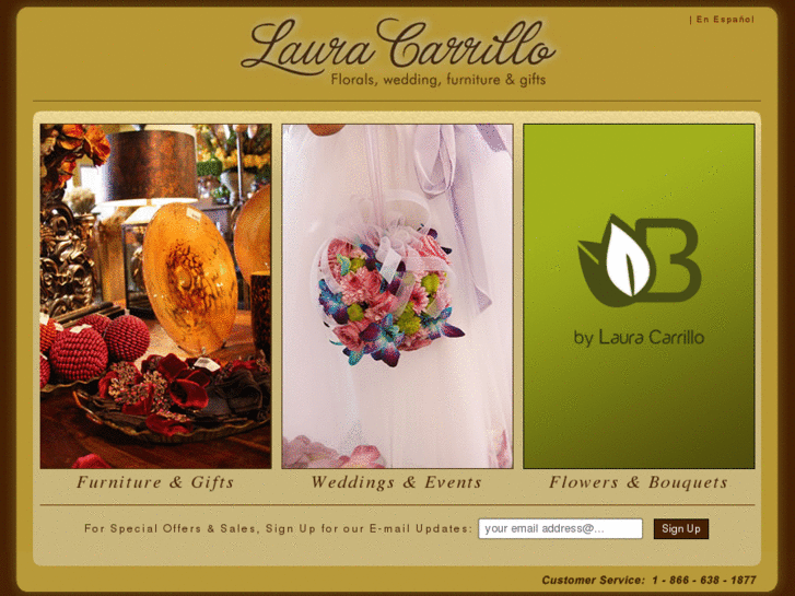 www.lauracarrillo.com