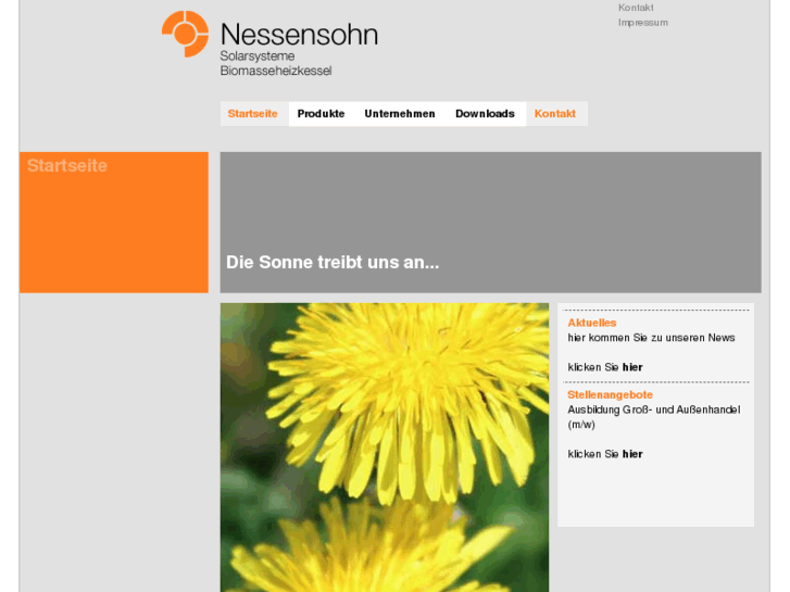 www.nessensohn.com