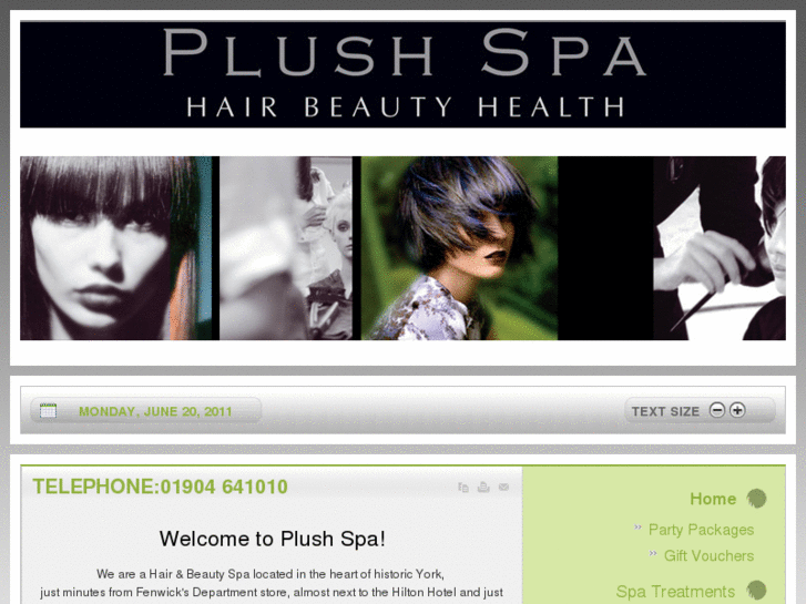www.plushspayork.co.uk