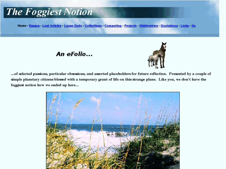 www.thefoggiestnotion.com