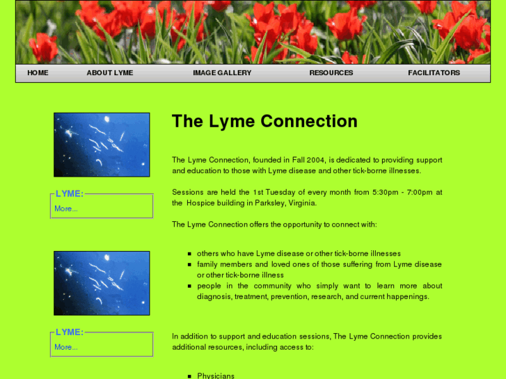 www.thelymeconnection.org