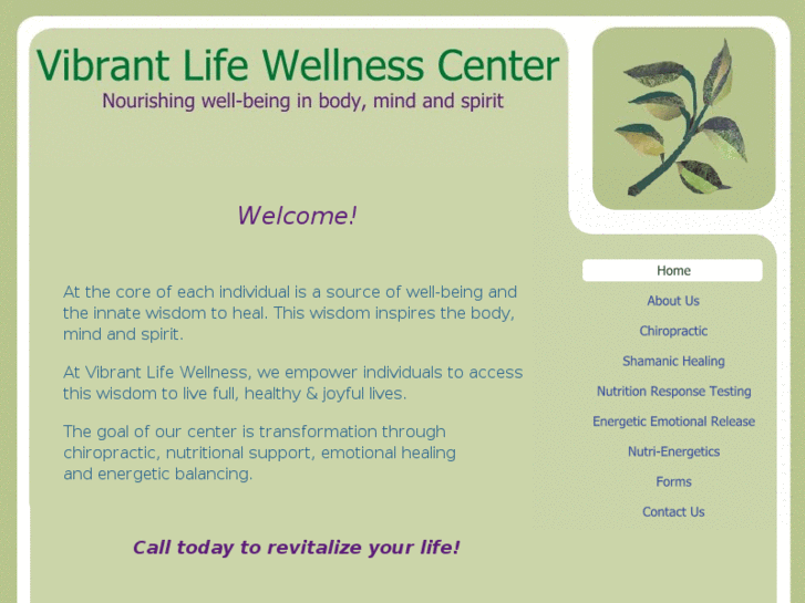 www.vibrantlifewellnesscenter.com