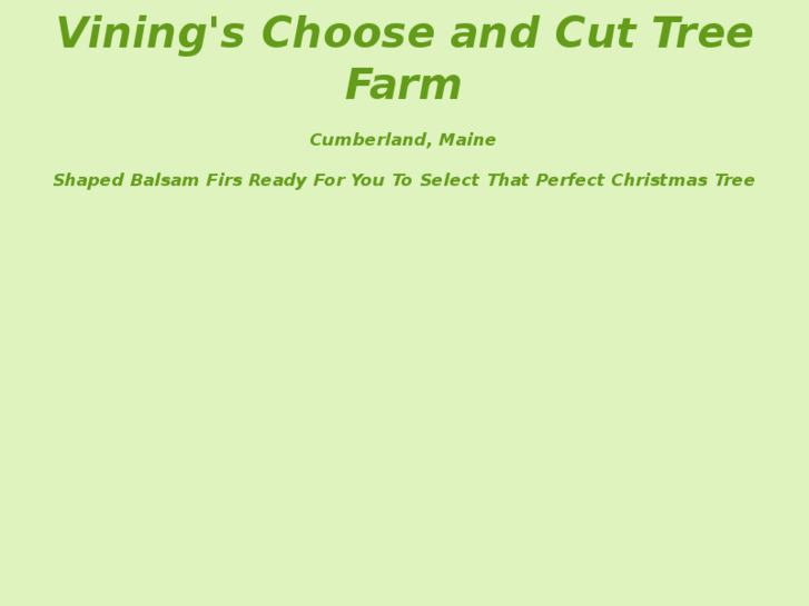 www.balsamchristmastrees.com