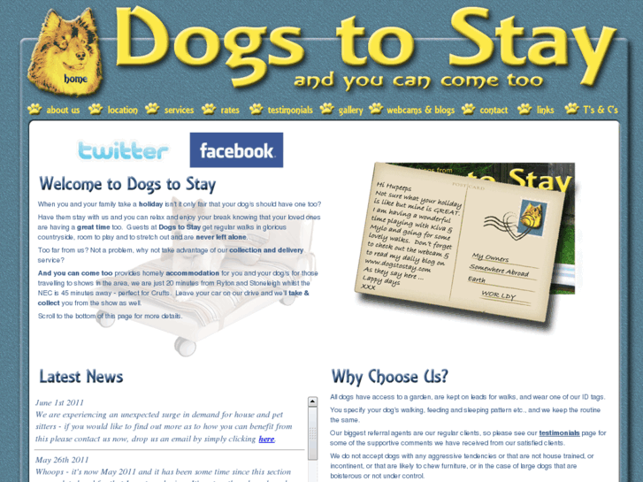 www.dogstostay.com