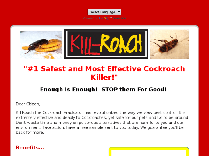 www.killroach.com