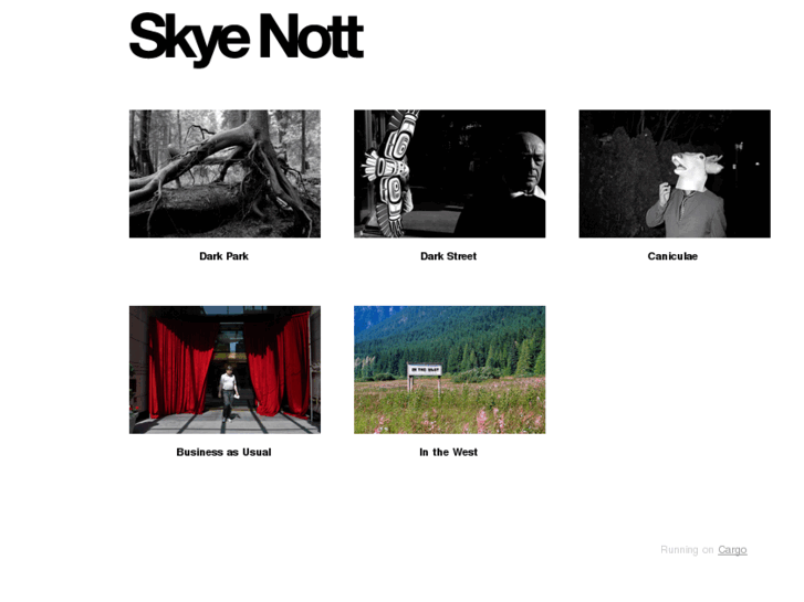 www.skyenott.com