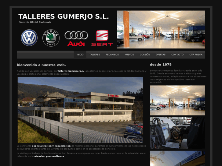 www.talleresgumerjo.es