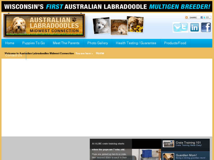 www.australianlabradoodlesmidwestconnection.com