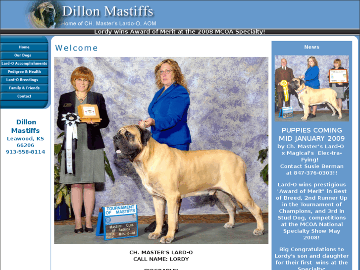 www.dillonmastiffs.com