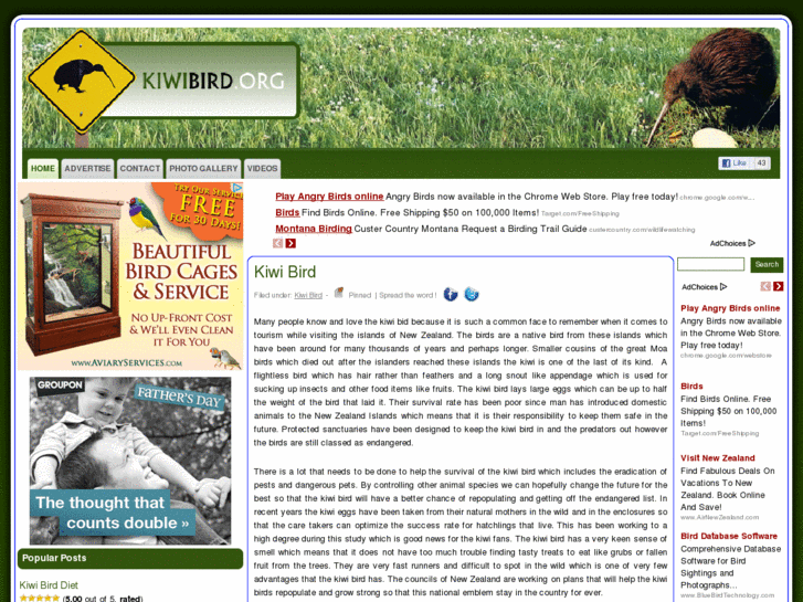 www.kiwibird.org