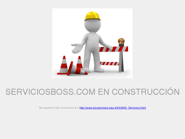 www.serviciosboss.com