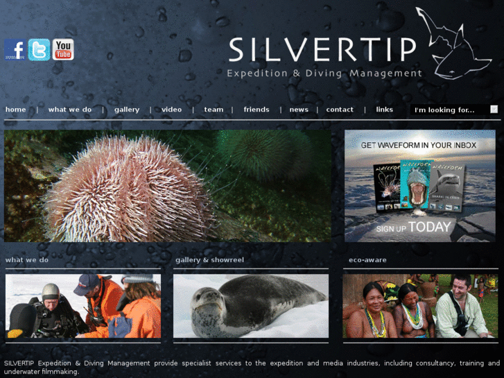 www.silvertipworld.com