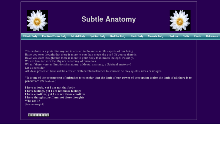 www.subtleanatomy.com