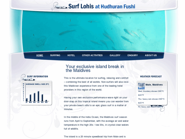 www.surflohis.com