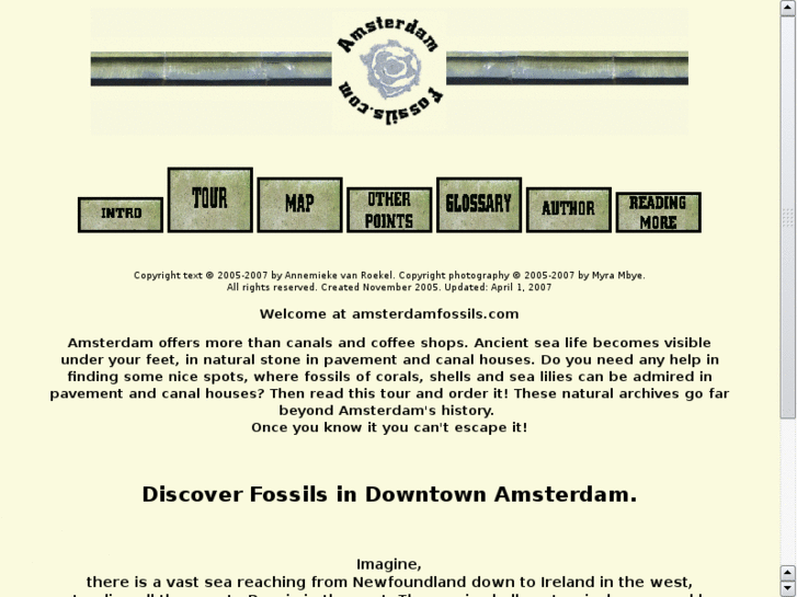 www.amsterdamfossils.com