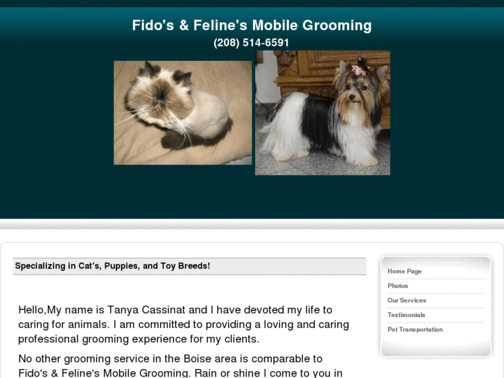 www.fidosandfelinesgrooming.com