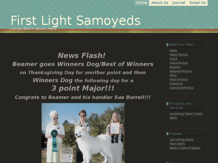 www.firstlightsamoyeds.com