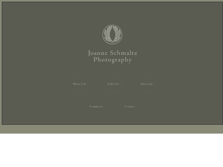 www.joanneschmaltz.com