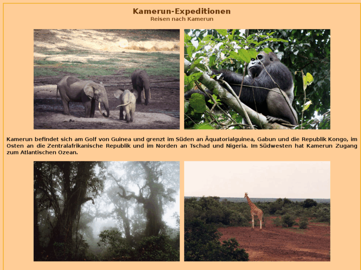 www.kamerun-expeditionen.de