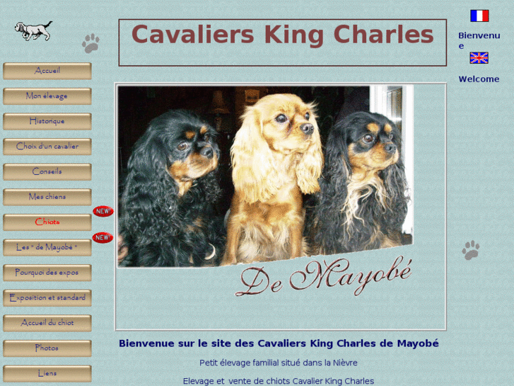 www.cavalierkingcharles-de-mayobe.com