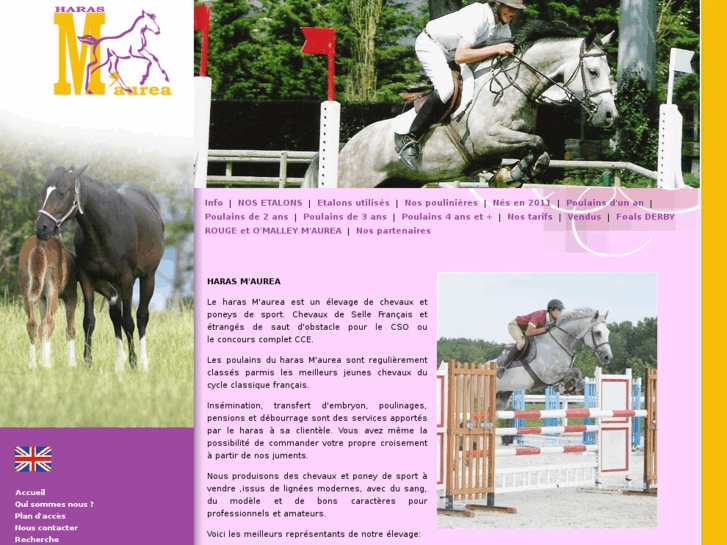 www.haras-maurea.com