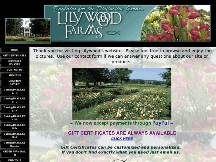 www.lilywood.com