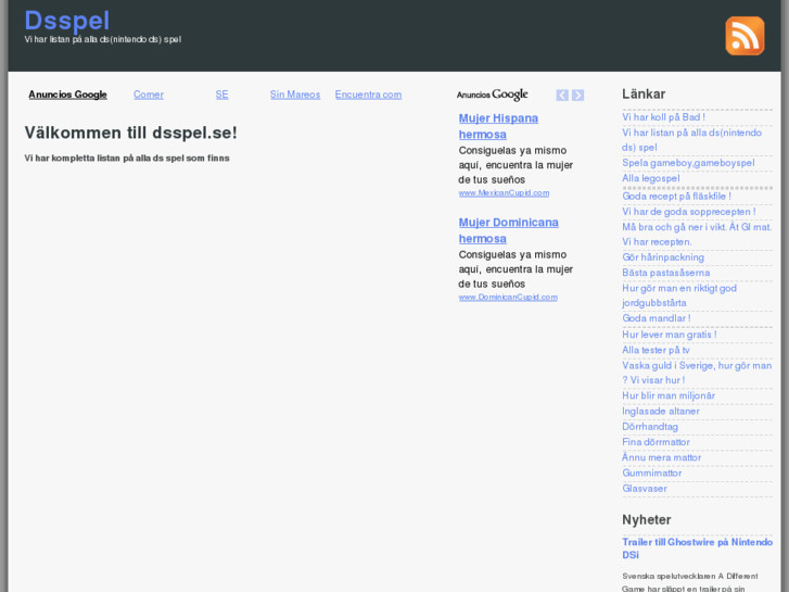 www.dsspel.se