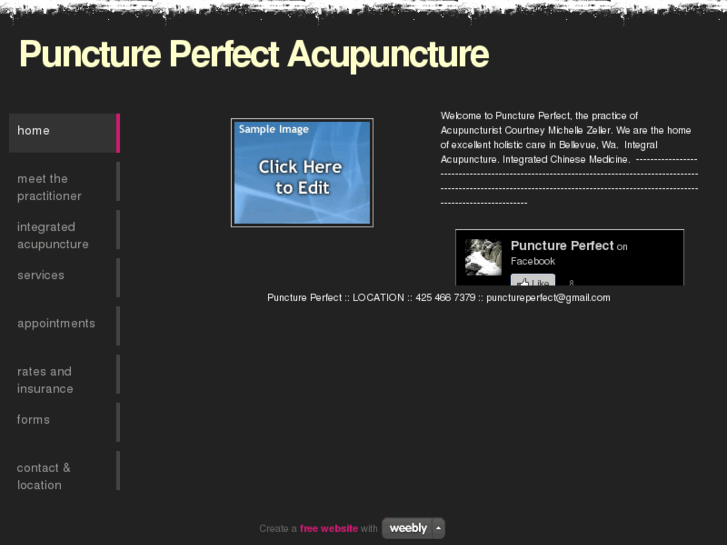 www.punctureperfect.com