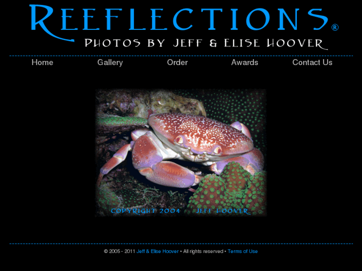 www.reeflections.net