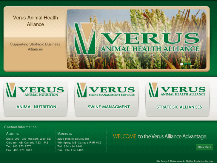 www.verusalliance.com