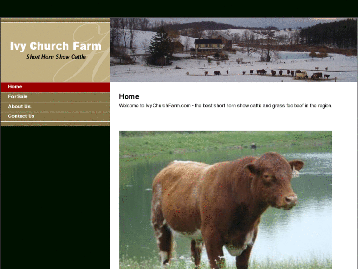 www.ivychurchfarm.com