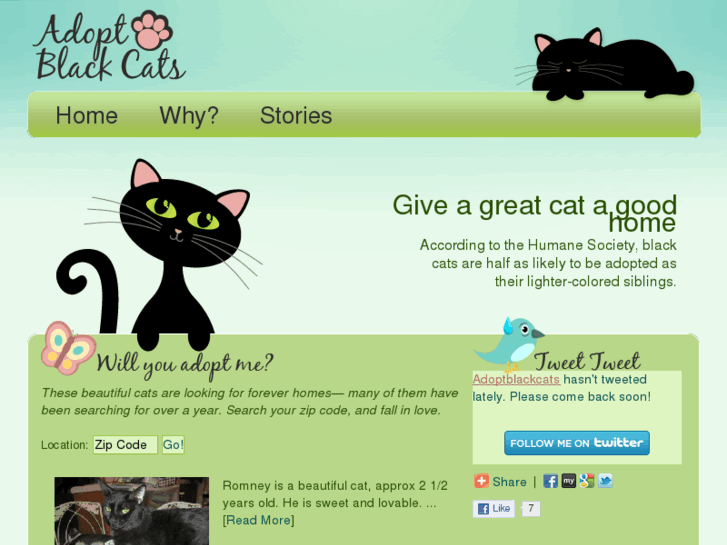 www.adoptblackcats.com