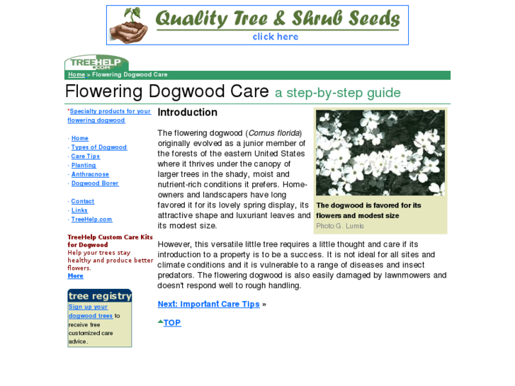 www.dogwood-tree.com