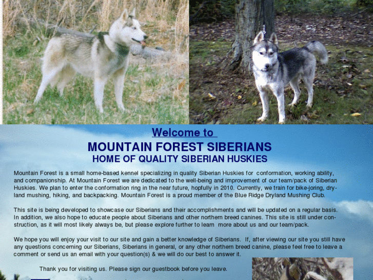 www.mountainforestsiberians.com