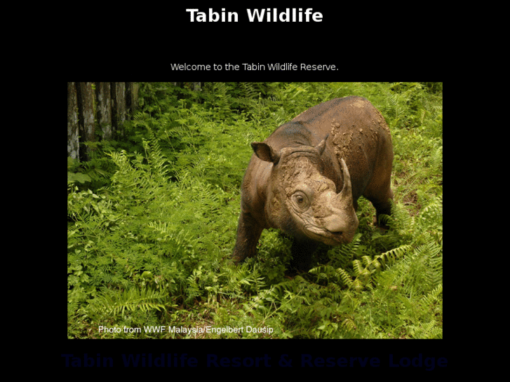 www.tabinwildlifelodge.com