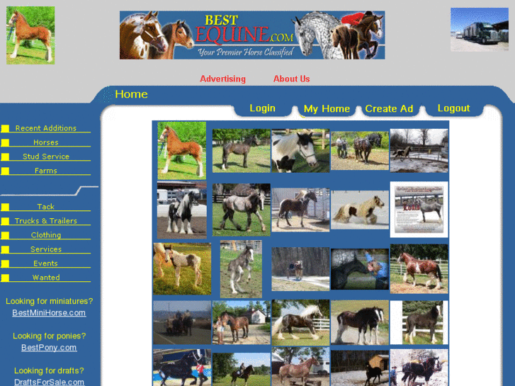 www.bestappaloosa.com