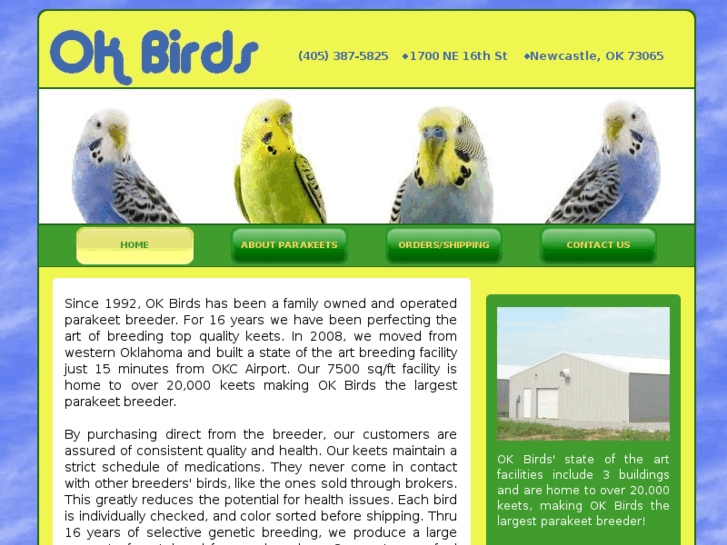 www.buyokbirds.com