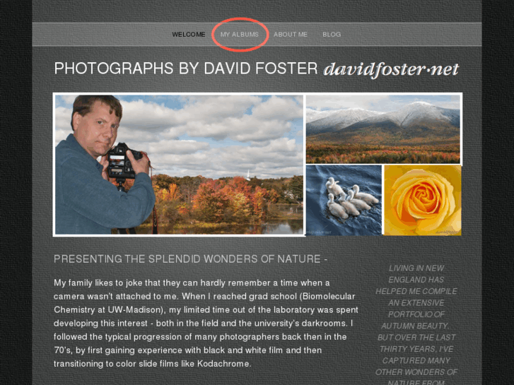 www.davidfoster.net