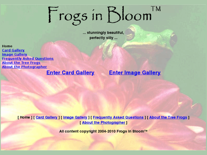 www.frogsinbloom.com