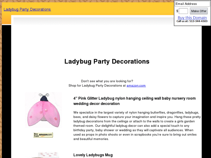 www.ladybugpartydecorations.com