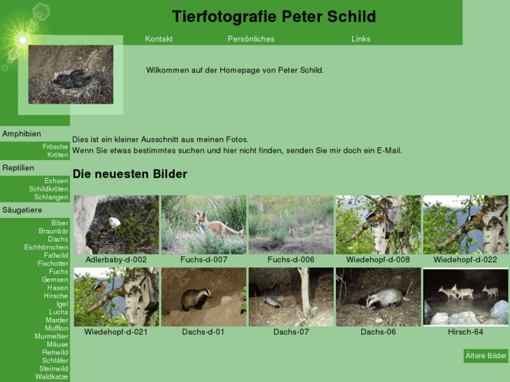 www.peter-schild.ch