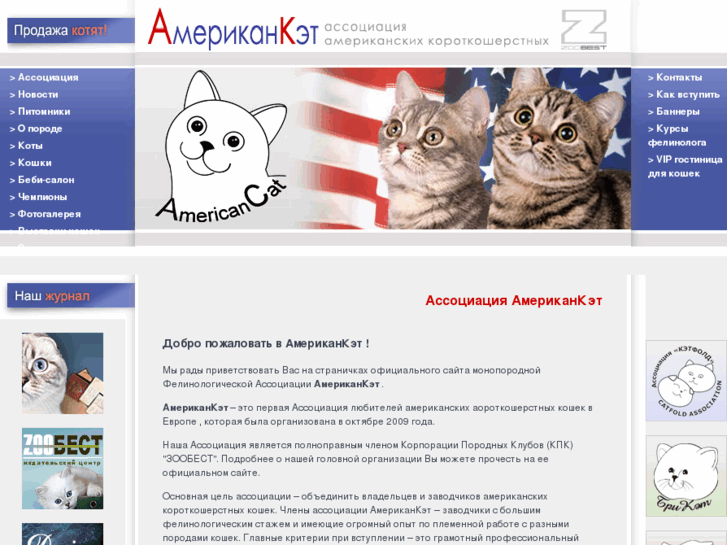 www.americancat.ru