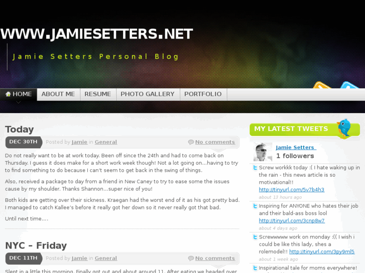 www.jamiesetters.net