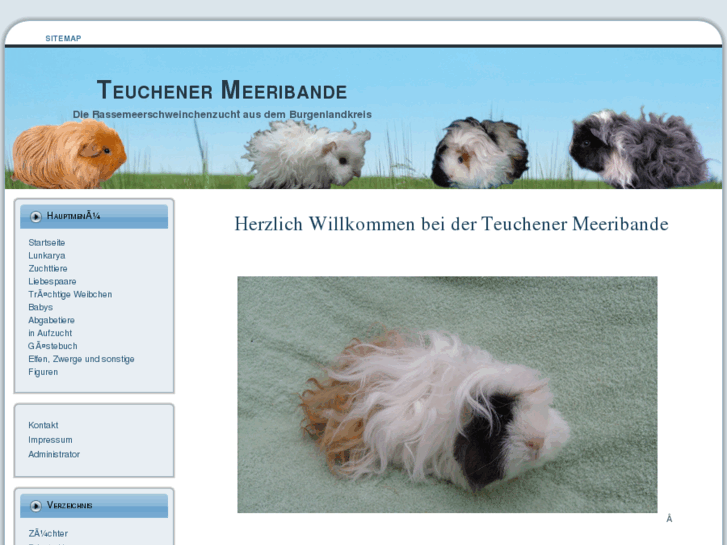 www.teuchener-meeribande.de