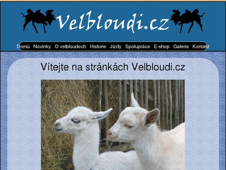 www.velbloudi.cz