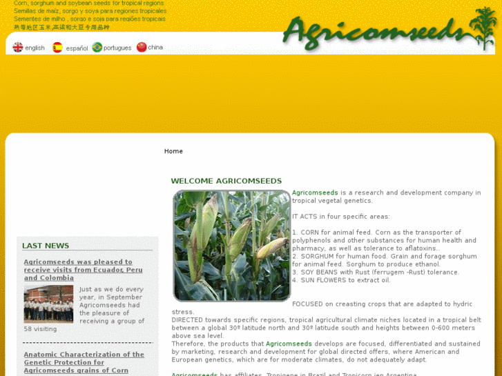 www.agricomseeds.com