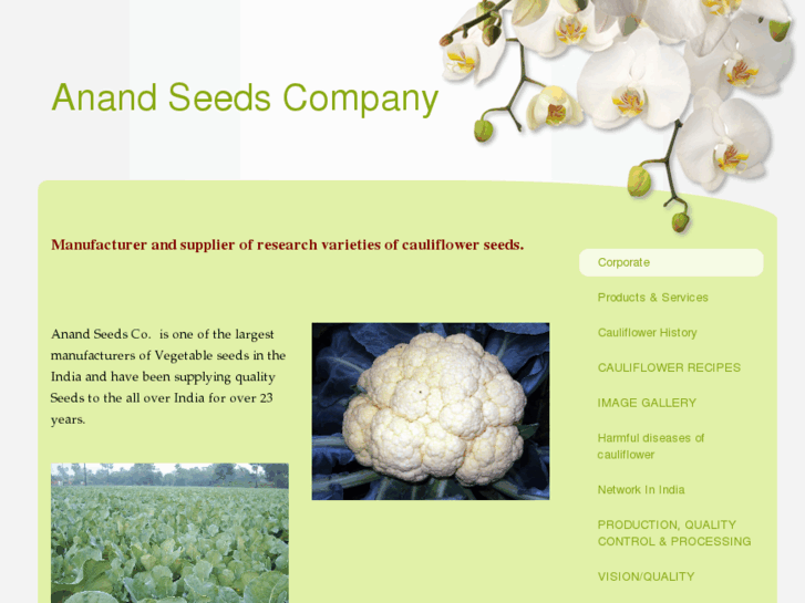 www.anandseeds.com