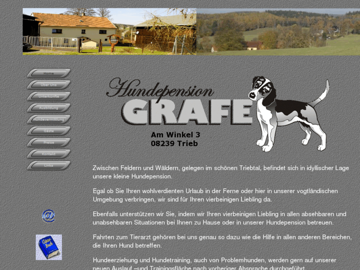 www.hsg-service-grafe.de