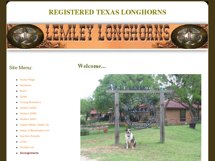 www.lemleylonghorns.com