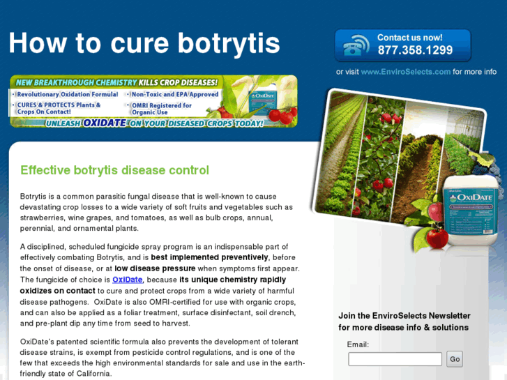 www.controlbotrytis.info